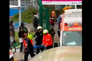 Caída de árbol en el parque Las Hadas fue por frente frío: Protección Civil