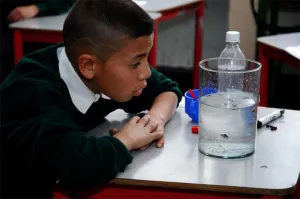 Facultad de Biología encamina a niños en las ciencias