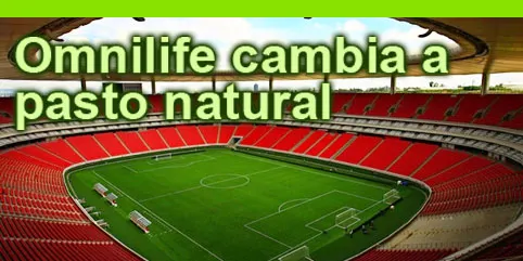 Chivas cambiará el pasto sintético por natural
