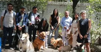 Medio Ambiente abre espacio “pet friendly” en favor del bienestar animal