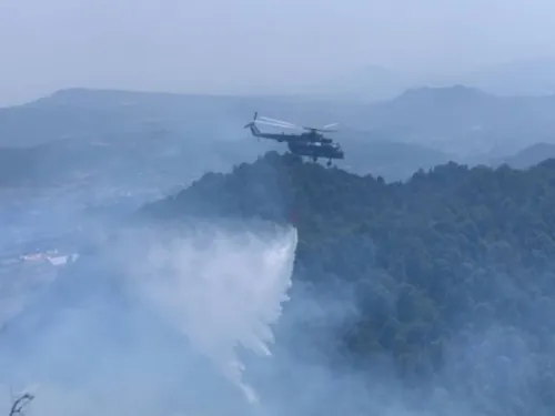 Reportan 59 incendios forestales en 15 estados