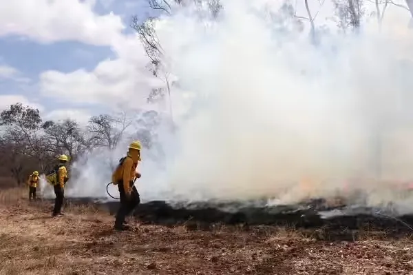 Incendios forestales