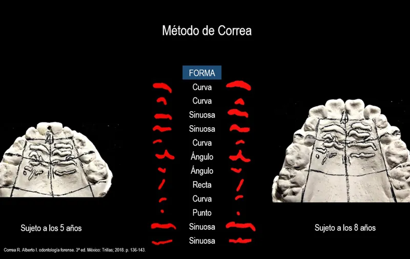 La cavidad oral aporta rasgos característicos para identificar a las personas: BUAP