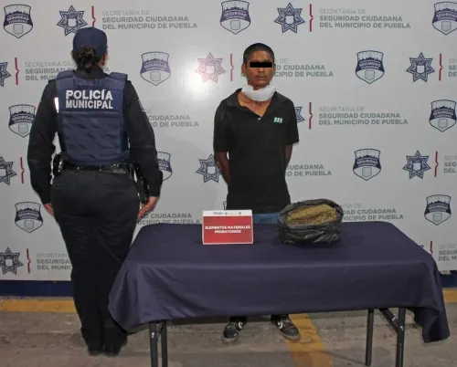 Aseguró policía municipal cerca de un kilogramo de probable marihuana; un hombre fue detenido