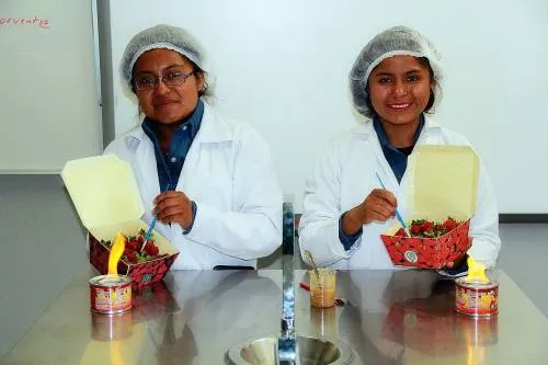 Universitarias de Agricultura UTTECAM desarrollan recubrimiento para frutos