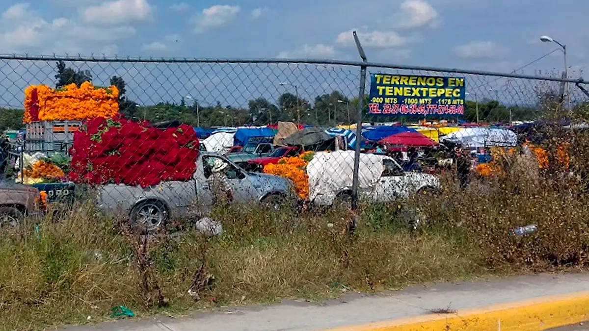 Mercado De Flores De La Trinidad Tlaltepango Atlixco