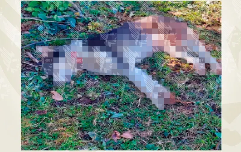 Sentencian a 2 años de prisión a Erick N., quien atacó con machete a la perrita “Bellota” en Zacapoaxtla