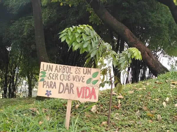 Foto: Especial