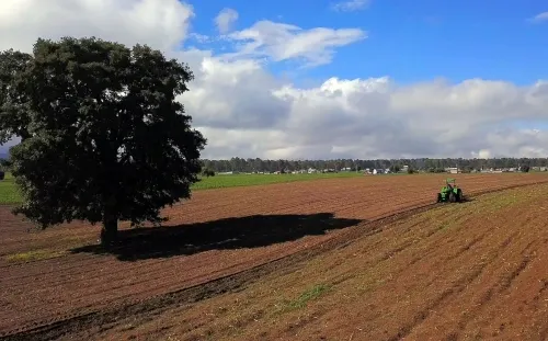 Con entrega de tractor, Gobierno beneficia a 124 familias productoras