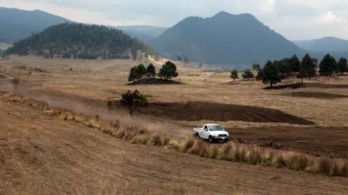 Los precios de alimentos “castigan” las familias rurales