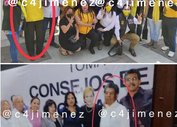 Imagen del artículo