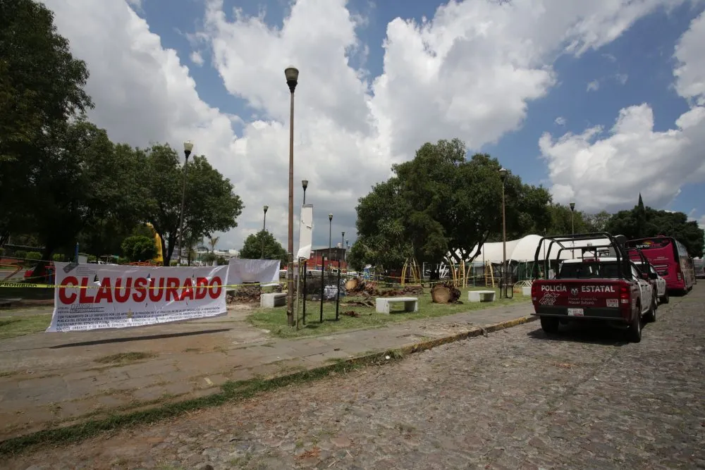 Barbosa se opone al corte de palmeras en Barrio de Analco y Parque Juárez