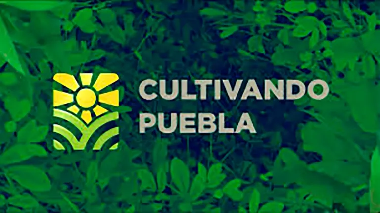 “Cultivando Puebla” y los comienzos