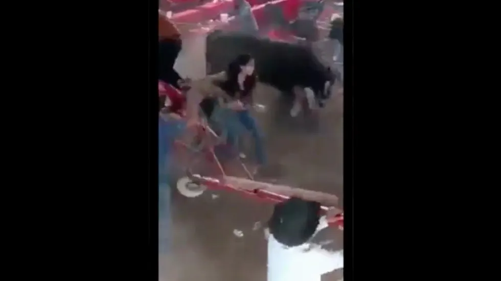Toro embiste a asistentes a jaripeo en Michoacán; hay 10 heridos