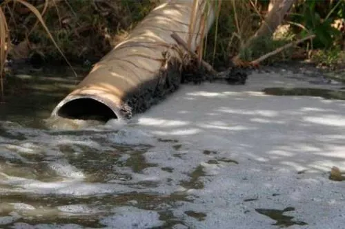 Dale la Cara al Atoyac realiza Picnic y acusa debilidad del gobierno para detener contaminación