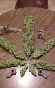 Fumar mariguana no dañaría los pulmones, según un estudio