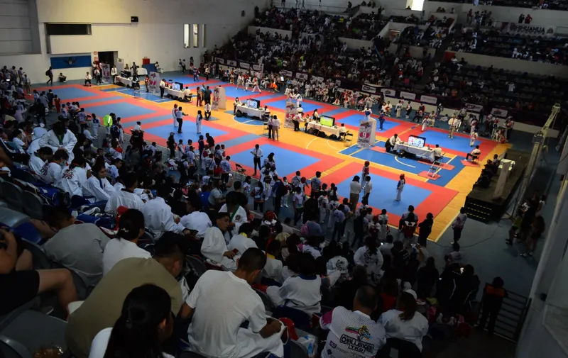 Gran Fiesta del Taekwondo