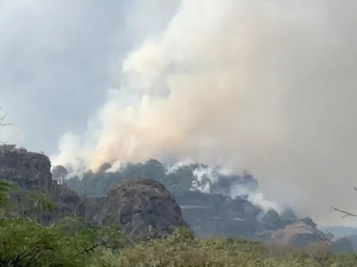 Incendio en Tepoztlán con 50% de liquidación del fuego