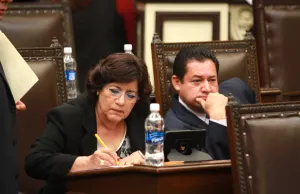 Eliminación de plurinominales, una opción para evitar otro gasolinazo