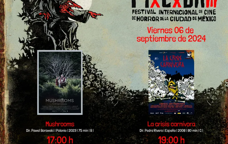 Imagen 6