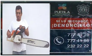 Estatales aseguraron a dos presuntos talamontes en la región de Huauchinango