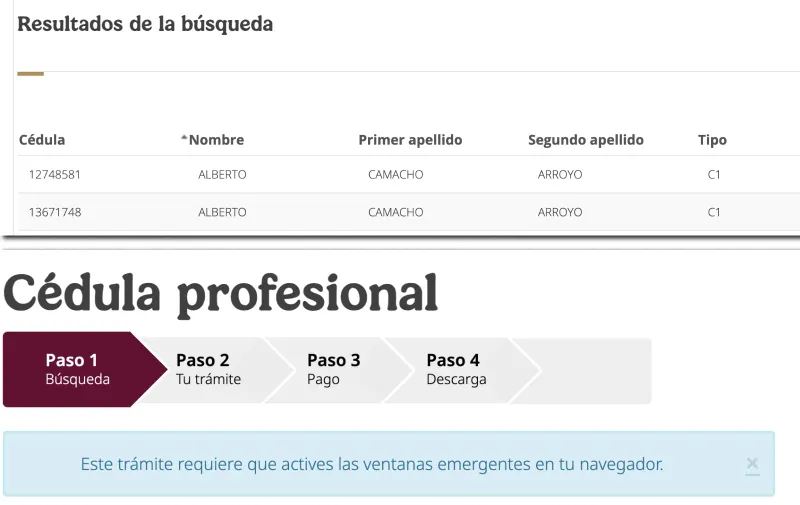 Imagen del artículo