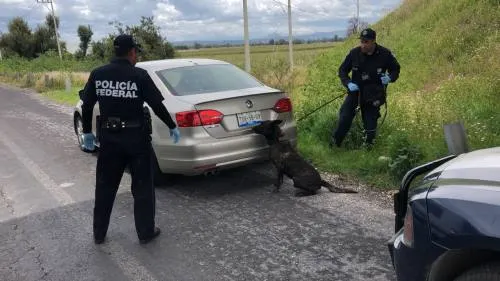 PF localizó arsenal en auto abandonado cercano al aeropuerto Hermanos Serdán