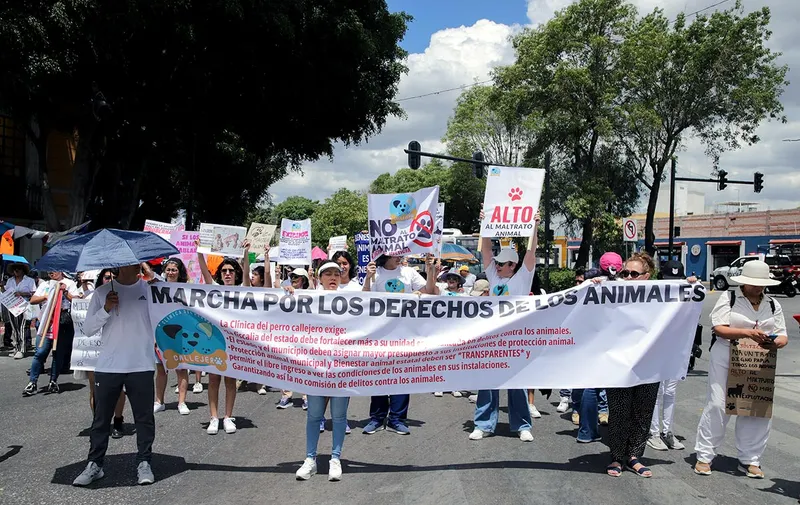 marcha-contra-el-maltrato-animal-puebla