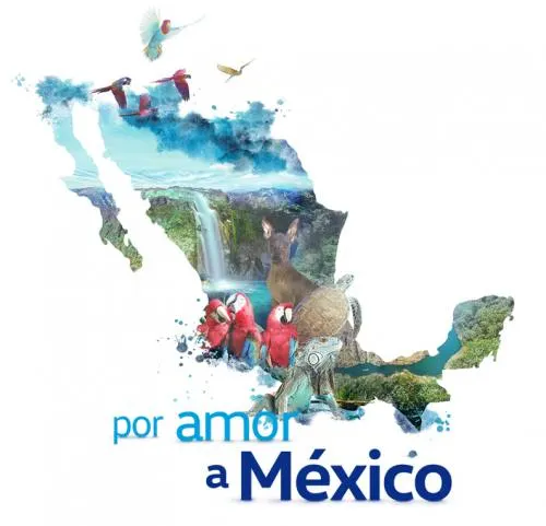 Volkswagen presenta la segunda edición del programa “Por amor a México”