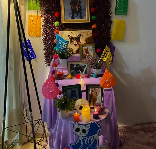 Día de Muertos Mascotas