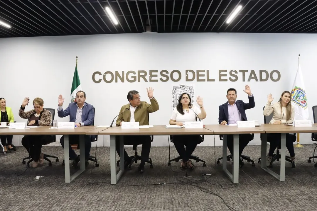 Laura Guadalupe Vargas Vargas, diputada local de Puebla por el Partido Verde