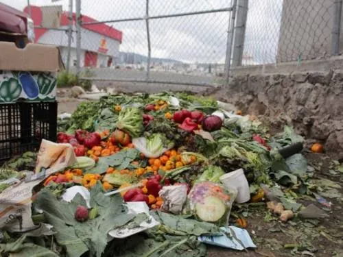 En México, 20 millones de toneladas de alimento al año van a la basura