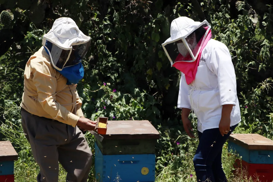 productores apícolas