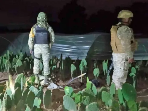Operativos conjuntos de Sedena, GN y Pemex aseguran tomas clandestinas