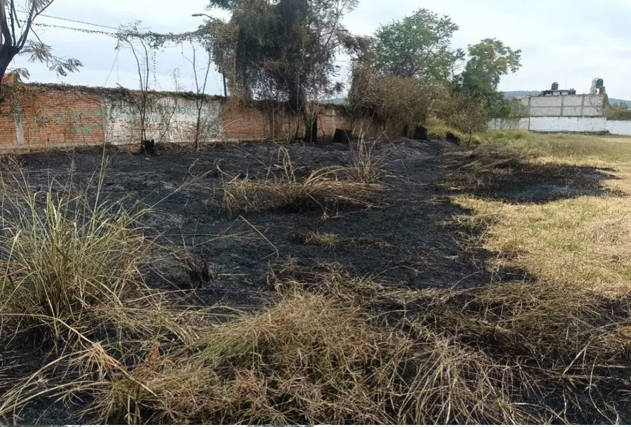 Quema de pastizales en Izúcar de Matamoros