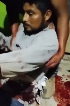 Imagen del artículo