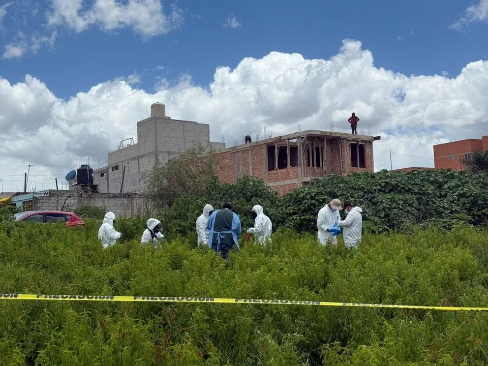Fge Pue Exhumacion Perro Vista Del Valle