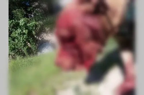 Causa indignación agresión con machete a perro en Izúcar