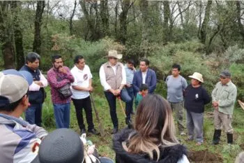 Impulsa Armenta industrialización del cáñamo para el crecimiento sostenible y el cuidado del planeta