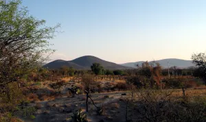 Con investigación de alto impacto, ICUAP atiende necesidades de la Mixteca