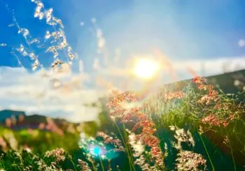 Vive el equinoccio en Atlixco y cárgate de energía para esta primavera