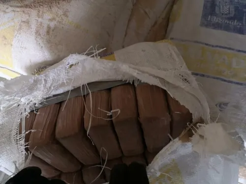 FGR asegura más de 600 kilos de cocaína en Chiapas