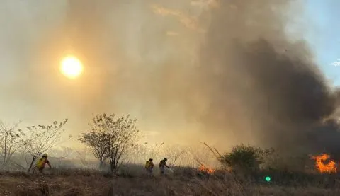 Reportan incendio en inmediaciones del aeropuerto de Chiapas