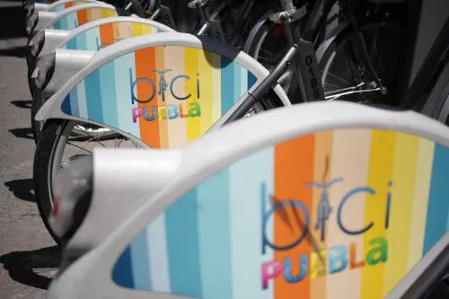 Inician camino para retirar concesión a CycloShare