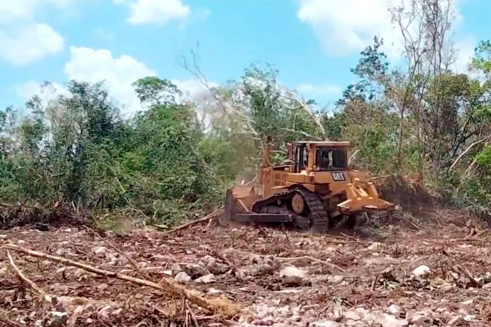 Tren Maya Deforestacion