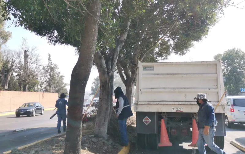 maraton-de-servicios-publicos-y-limpia