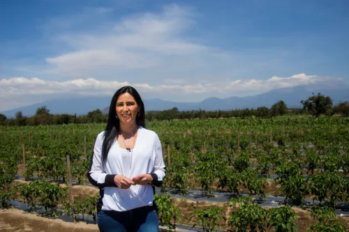Nombra la CIT a Fabiana Briseño como delegada especial en Puebla