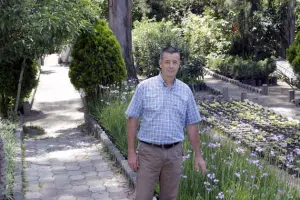 Partidos ignoraron requerimientos al colocar propaganda en árboles: Gómez