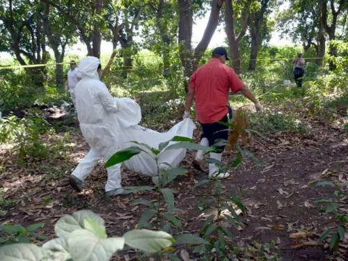 Hallan cuerpo de diputada de Colima en fosa clandestina
