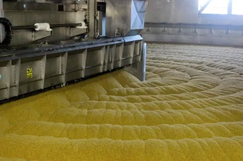 Fomenta SDR desarrollo de cebada en Puebla